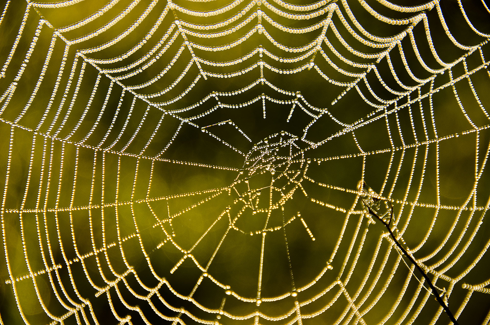 ��ki Trojan nad Bugiem V 2013